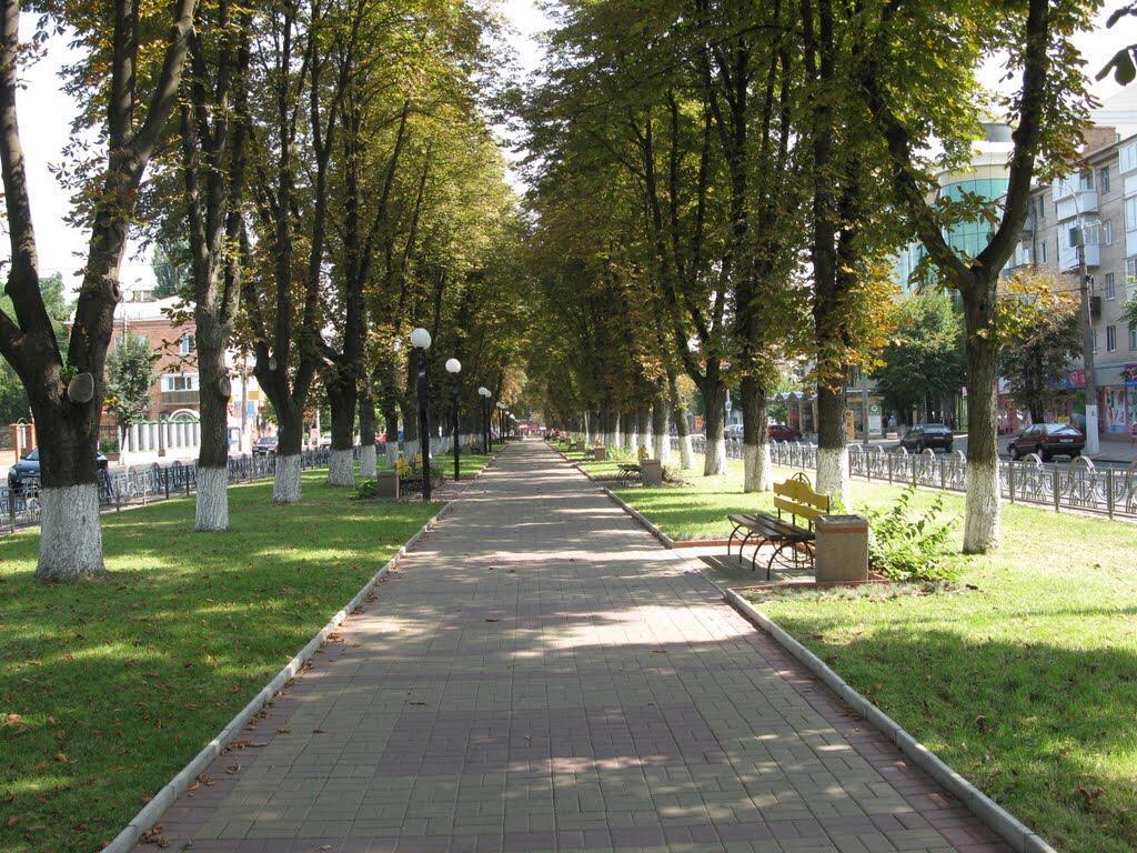 Неймовірно Затишна Студія У Центрі Міста Біля Лікарні Імені Пирогова Βίνιτσα Εξωτερικό φωτογραφία