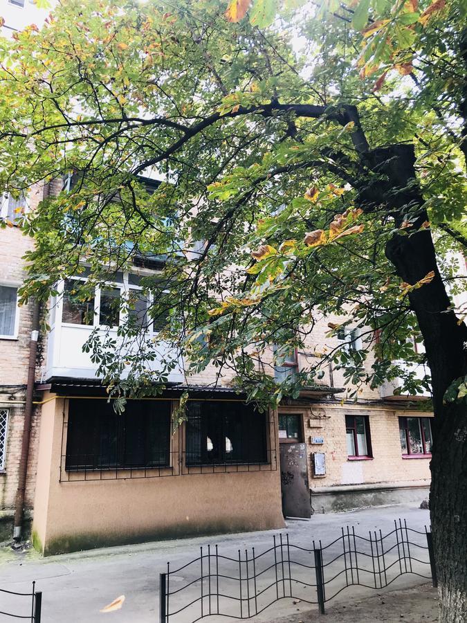 Неймовірно Затишна Студія У Центрі Міста Біля Лікарні Імені Пирогова Βίνιτσα Εξωτερικό φωτογραφία